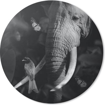Muismat rond 20x20 cm - Mousepad Vogel - Olifant - Jungle - Zwart - Wit - Ronde muismatten