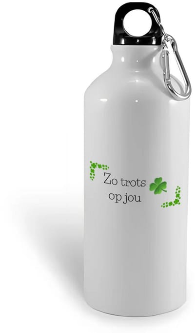 Hacebo® - Collega cadeau waterfles - Collega - Trots op jou cadeau - Geluk cadeau - Collega kado - Collega afscheid - Klavertje vier cadeau - Collega cadeautjes verjaardag - Leuk kado om te geven - water fles - 400ML