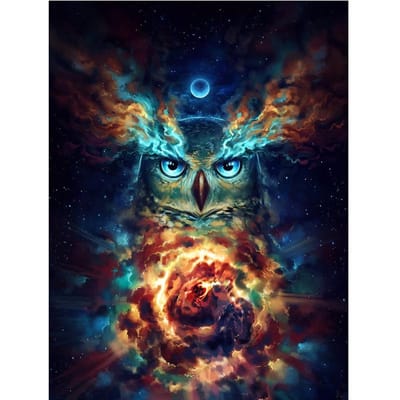 Diy diamant borduurwerk mooie ambachtelijke schilderij uil mozaïek cadeau dier diamant muur kunst decor 20X30CM blue