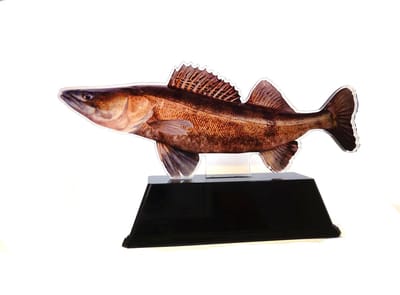 Vistrofee Real Fish Snoekbaars 17 cm - Prijs Snoekbaarswedstrijd Beker Viswedstrijd Snoekbaars