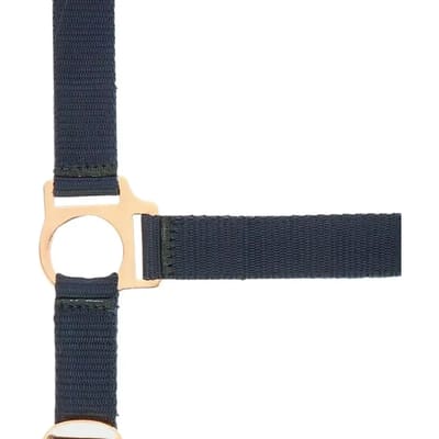 Halster voor paarden Norton Rose gold