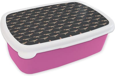 Broodtrommel Roze - Lunchbox - Brooddoos - Jongens - Patroon - Dinosaurussen - 18x12x6 cm - Kinderen - Meisje