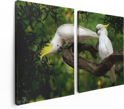 Artaza Canvas Schilderij Tweeluik Twee Witte Kaketoes in de Bomen - 120x80 - Foto Op Canvas - Canvas Print