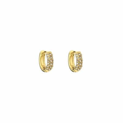 Bijoutheek Oorringen Zirkonia Stenen Gold