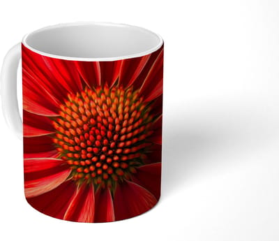 Mok - Koffiemok - Close up - Bloem- Rood - Mokken - 350 ML - Beker - Koffiemokken - Theemok