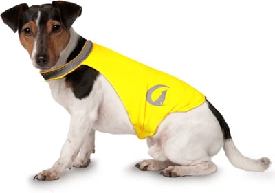 Nightwalk Safety Vest - Ruglengte 25 cm - Veiligheidsvest hond - Hondenvest - Veiligheidshesje Hond - Fluo Hond - Reflecterend veiligheidshesje - Maat S - Geel