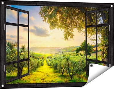 Gards Tuinposter Doorkijk Olijvenbomen - Olijvengaard - 90x60 cm - Tuindoek - Tuindecoratie - Wanddecoratie buiten - Tuinschilderij
