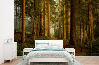 Behang - Fotobehang Bos - Natuur - Bomen - Landschap - Bladeren - Breedte 390 cm x hoogte 260 cm