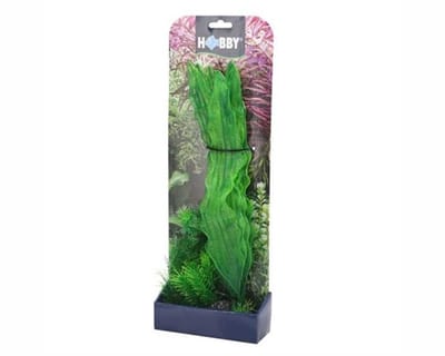 Hobby Plantasy Set 1