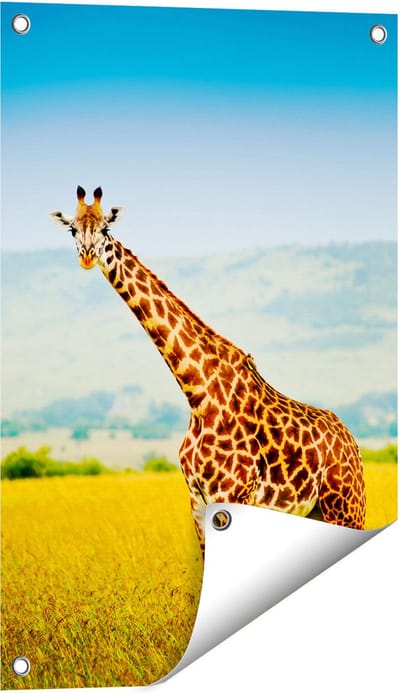 Gards Tuinposter Giraffe in het Veld - 40x60 cm - Tuindoek - Tuindecoratie - Wanddecoratie buiten - Tuinschilderij