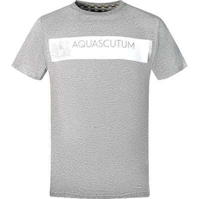 Aquascutum Heren T-shirt met blokjeslogo (Grijs)