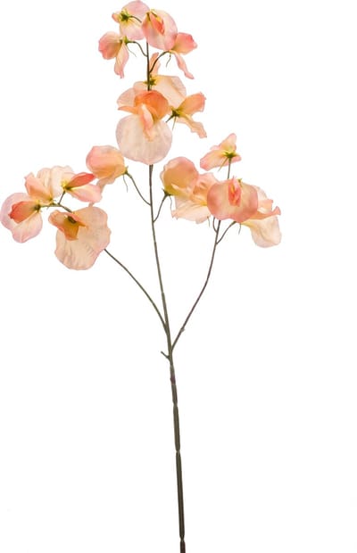 Emerald - Kunstbloem Pronkerwt 75cm peach - Kunstplant voor binnen