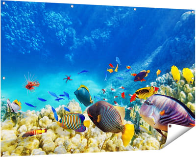 Gards Tuinposter Vissen in de Oceaan met Koralen - 150x100 cm - Tuindoek - Tuindecoratie - Wanddecoratie buiten - Tuinschilderij