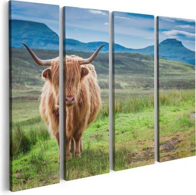 Artaza Canvas Schilderij Vierluik Schotse Hooglander In De Wei - Kleur - 80x60 - Foto Op Canvas - Canvas Print