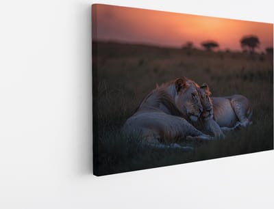 Saammp Canvas Schilderij - Leeuwen liggen tegen elkaar aan - Dieren - Natuur - 45x30 - Foto op canvas - Wanddecoratie - Muurdecoratie Woonkamer - Slaapkamer decoratie - Canvas Print