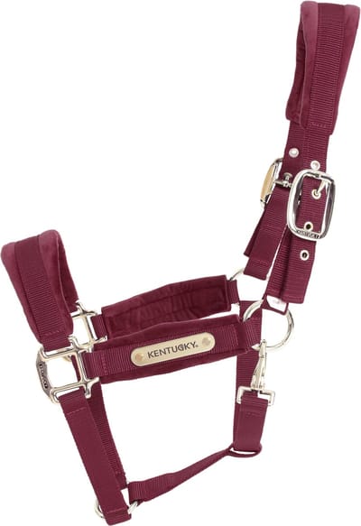 Kentucky Horsewear - Velvet halster bordeaux pony