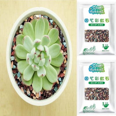 Bonsai Stenen Mix - Decoratieve Kiezels - Planten Verzorgen - Uitstekende Drainage - 1kg - Multikleur