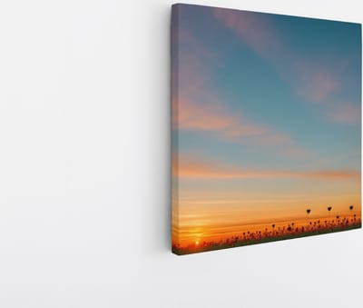 Saammp Canvas Schilderij - Landschap - Bloemenveld - Natuur - 20x20 - Foto op canvas - Wanddecoratie - Muurdecoratie Woonkamer - Slaapkamer decoratie - Canvas Print
