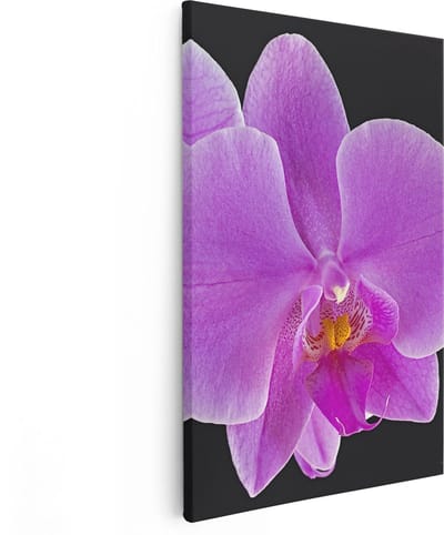 Artaza Canvas Schilderij Orchidee - 80x120 cm - Groot - Wanddecoratie Bloemen - Muurdecoratie Bloem - Schilderijen Op Canvas Roze