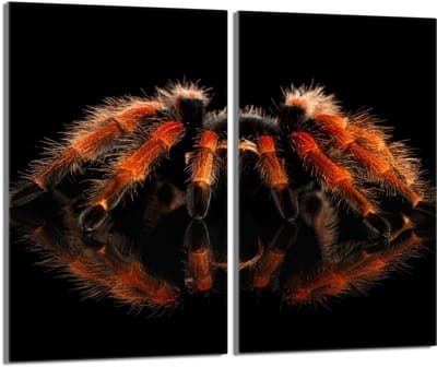 TMK ArtDeko - Serie Pająk - Glazen Beschermplaat - 2x30x52cm - Gehard Glas