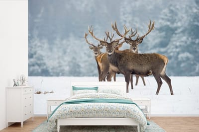 Behang - Fotobehang Hert - Dieren - Sneeuw - Winter - Landschap - Natuur - Breedte 330 cm x hoogte 220 cm