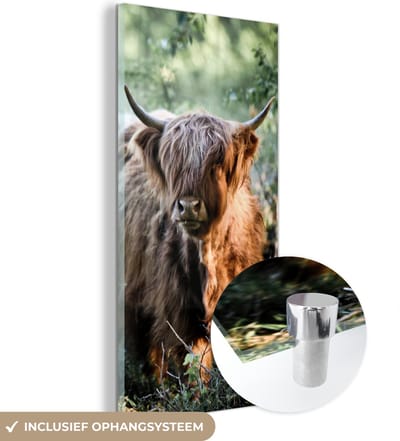 MuchoWow® Glasschilderij 20x40 cm - Schilderij acrylglas - Schotse Hooglanders - Bos - Dieren - Foto op glas - Schilderijen