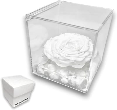 Gestabiliseerde Roos - Eeuwige Bloem - Cadeau Geven - Carrara Marmeren Basis - 12 cm Kubus - Wit