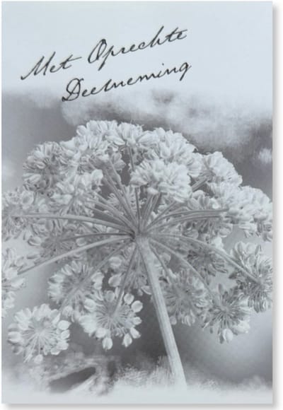 Cards & Crafts Condoleancekaart - Met Oprechte Deelneming Wenskaart - 12 x 17 cm - gevouwen kaart Inclusief envelop