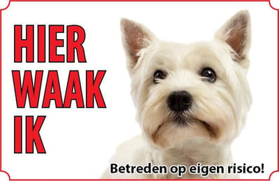 Bord - Hond-West-Highland-white-terriër