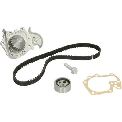 Schaeffler Ina Waterpomp+distributieriem set INA 530 0191 31