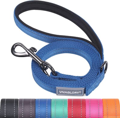 Reflecterende hondenriem met gevoerde handgreep - 5ft lange nylon trainingsriem voor kleine en middelgrote honden in blauw