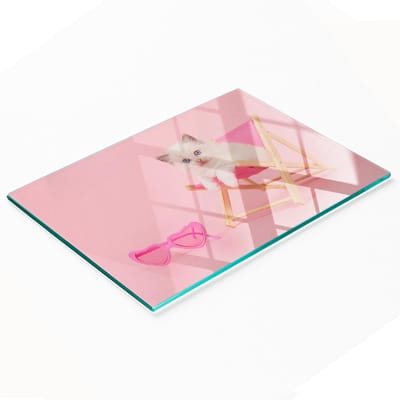 Keukenplank van gehard glas met decoratieve afbeeldingen van een kattenterras, 80x52 cm