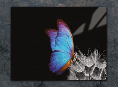 TMK ArtDeko Serie - Glas Snijplank - 30x22 cm - Motief: Vlinder