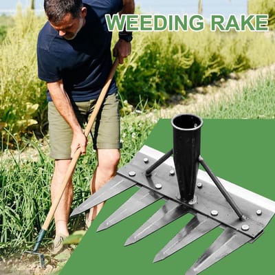 Onkruidhark - Tuinhark onkruidverwijderaar - Tuinonderhoud - Multifunctioneel - 20 cm breed - Metaal