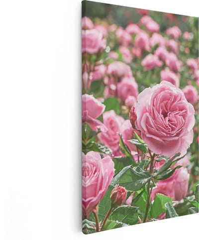 Artaza Canvas Schilderij Rozen - 80x120 cm - Groot - Wanddecoratie Bloemen - Muurdecoratie Roze Rozen - Schilderijen Op Canvas Tuin