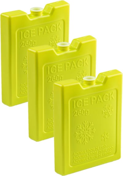 Plasticforte Koelelementen - 6x stuks - 260 grams - 13 x 10 cm - groen - kunststof - voor koeltas en koelbox