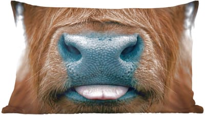 Sierkussens - Kussentjes Woonkamer - 60x40 cm - Schotse hooglander - Neus - Bruin