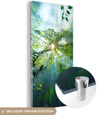 MuchoWow® Glasschilderij 20x40 cm - Schilderij acrylglas - De zon schijnend door de bossen van een regenwoud in Maleisië - Foto op glas - Schilderijen