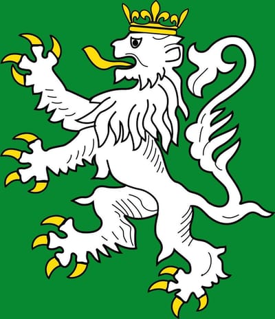Vlag Itter 100x150cm