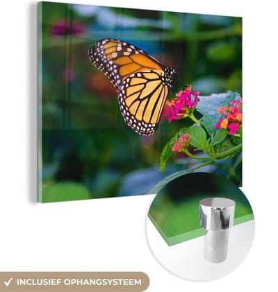 MuchoWow® Glasschilderij 40x30 cm - Schilderij acrylglas - Vlinders - Bloem - Natuur - Foto op glas - Schilderijen