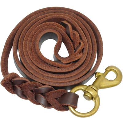 Gevlochten leren hondenriem, hondentrainingsriem voor middelgrote en grote honden, Duitse herdershond cadeau, clicker voor hondentraining bruin