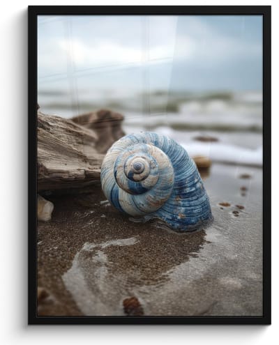 Poster in lijst - Fotolijst 60x80 cm - Posters - Schelp - Strand - Blauw - Zee - Posterlijst zwart - Decoratie - Wanddecoratie woonkamer - Muurdecoratie slaapkamer