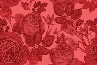 Fotobehang baccara 2 DD111156 Livingwalls Walls by Patel | Fotobehang online webshop