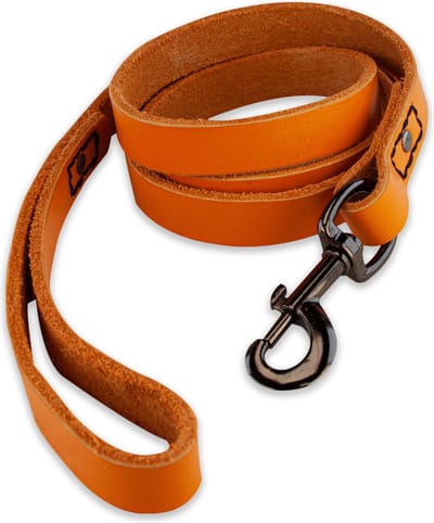 Leren hondenriem - 140cm - oranje met zwarte riem - hondenriem met stiksels - 100% volnerfleer - hond - leiband hond - lederen hondenriem - stevige hondenriem - hondenleiband - hondenlijn leer