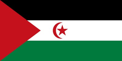 Vlag Westelijke Sahara 70x100cm