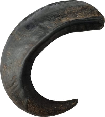 Topmast Runderhoorn - Harde natuurlijke Kauwsnack - ca. 100 Gram - 10 stuks