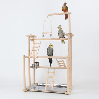 Vogelspeelstandaard, houten papegaaienspeelplaats met zitstokken voor kleine middelste parkieten, valkparkieten, vinken, parkiet dwergpapegaaien (44 x 31 x 79 cm)