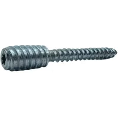 Sencys Universele Schroef Gegalvaniseerd Verzonken Kop Torx T25 - 6x60mm - 2 Stuks
