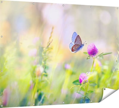 Gards Tuinposter Blauwe Vlinder bij een Paarse Bloem - 160x120 cm - Tuindoek - Tuindecoratie - Wanddecoratie buiten - Tuinschilderij