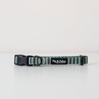 Pip & Palms - Honden Halsband Stripy Stripes - Groen - Maat XS (22–30 cm) - 1,5cm breed - Comfortabel & Stijlvol - Hondenhalsband - voor Kleine honden